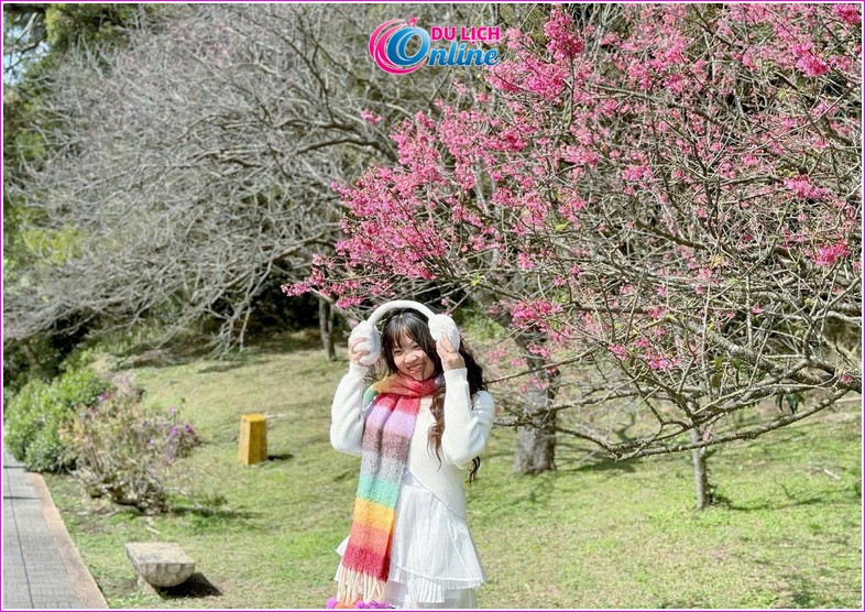 Du lịch đài loan