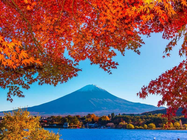 Mùa thu Đài Loan có gì khiến khách Hà Nội thích nhất?