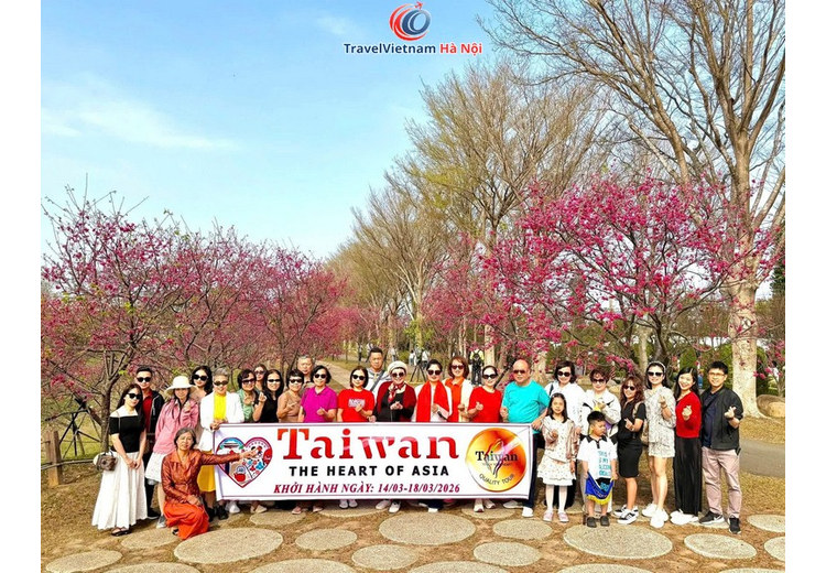 Đoàn khách TravelVietnam Hà Nội chụp ảnh bên hàng cây hoa anh đào hồng ở Đài Loan tháng 3