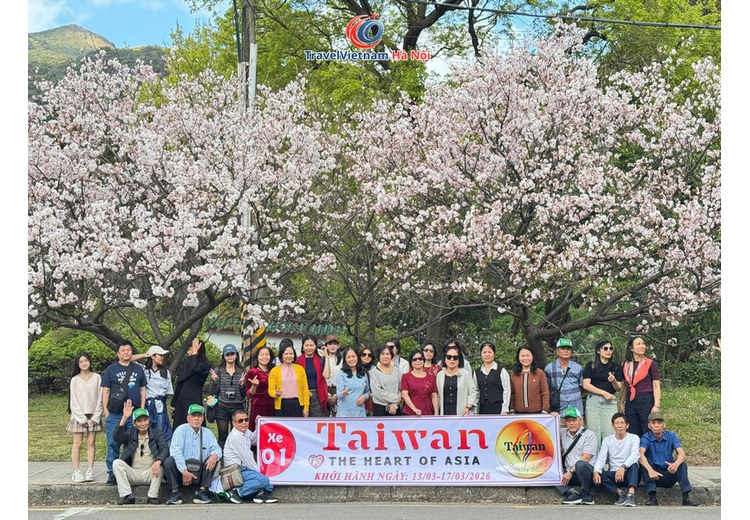 Đoàn khách TravelVietnam Hà Nội chụp ảnh dưới hàng cây hoa anh đào nở trắng hồng ở Đài Loan