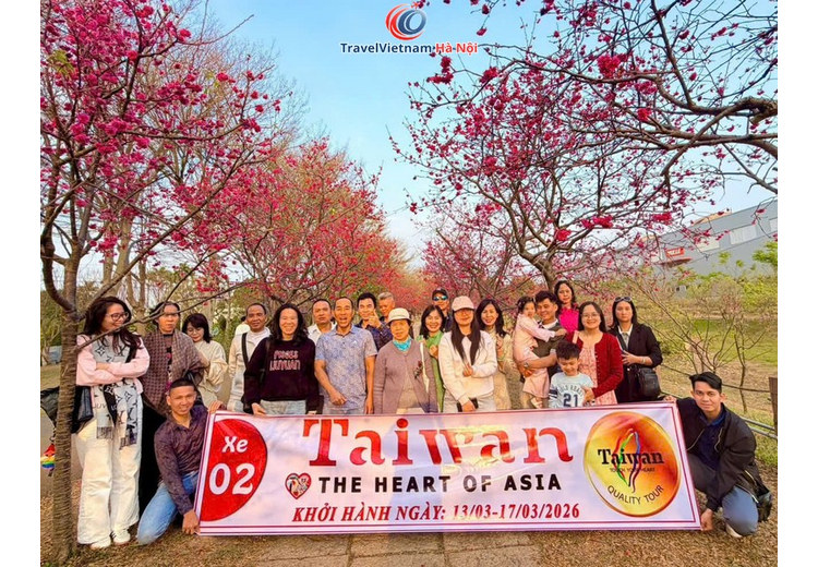 Đoàn khách TravelVietnam Hà Nội chụp ảnh dưới những cây hoa anh đào hồng tháng 3